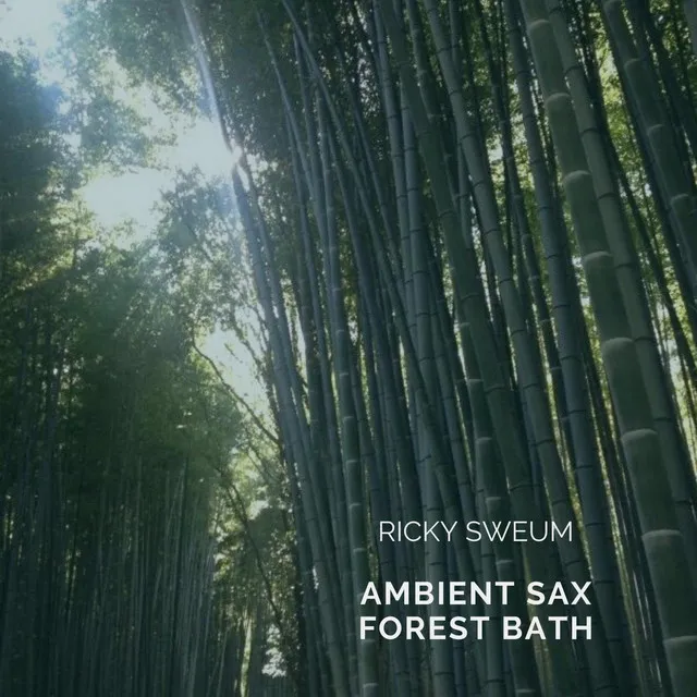 Ambient Sax Forest Bath