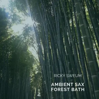 Ambient Sax Forest Bath by Ricky Sweum