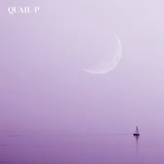 Get You The Moon (Acoustic) by Quail P