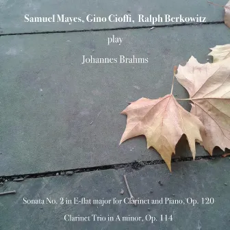 Johannes Brahms: Sonata No. 2 in E-Flat Major for Clarinet and Piano, Op. 120 - Clarinet Trio in A Minor, Op. 114 by Ralph Berkowitz