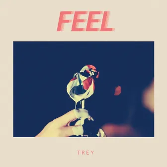 Feel by TREY