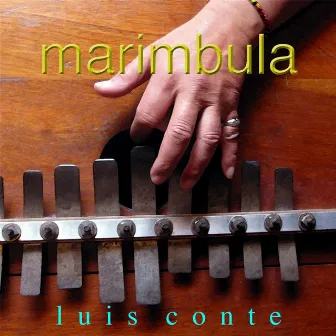 Marimbula (feat. Barry Coates, Jimmy Johnson) by Luis Conte