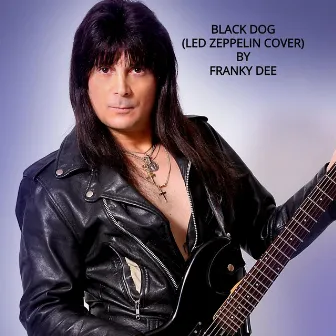 Black Dog by Franky Dee