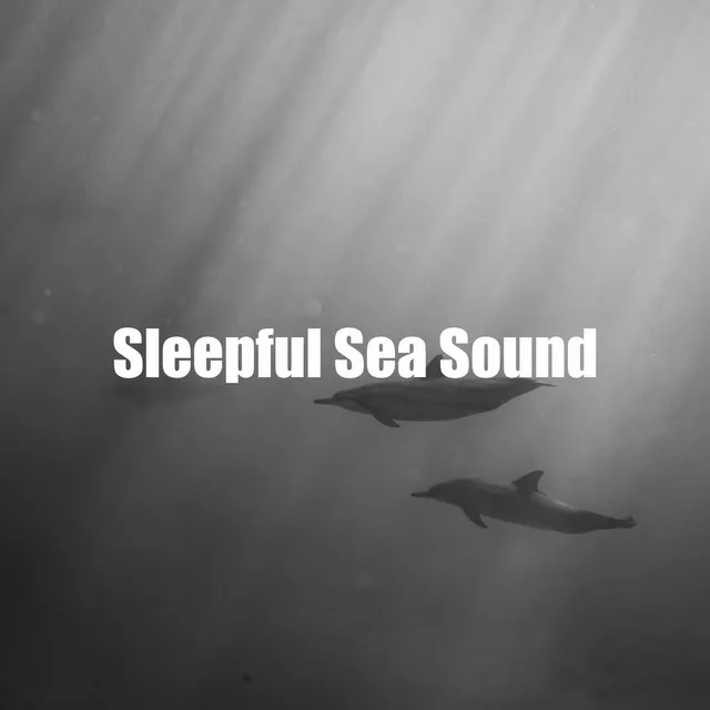 Sleepful Sea Sound