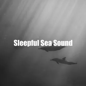 Sleepful Sea Sound by Calm of Water