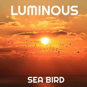 Sea Bird by Luminous