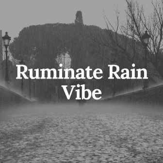 Ruminate Rain Vibe by Day & Night Rain