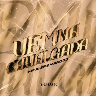 Vem na Cavalgada by Mano DJ