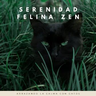 Serenidad Felina Zen: Abrazando La Calma Con Gatos by Gato Música Relajación