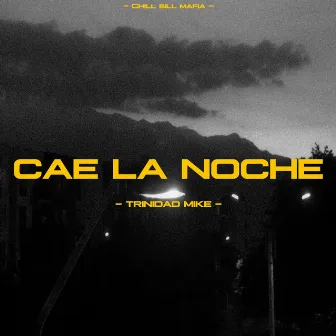 Cae La Noche by Trinidad Mike