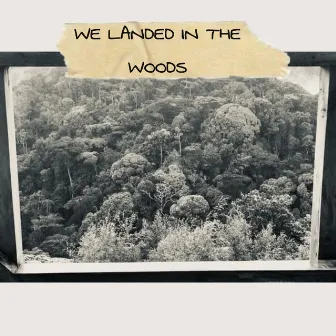 We Landed in the Woods by Kloud Dipo