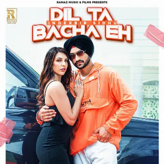 Dil Ta Bacha Eh by Inderbir Sidhu