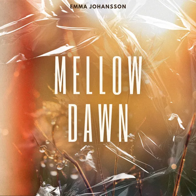 Mellow Dawn