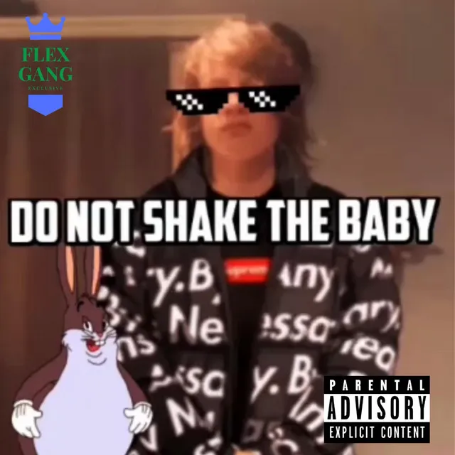 Do Not Shake The Baby