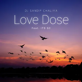 Love Dose by DJ Sandip Chaliya