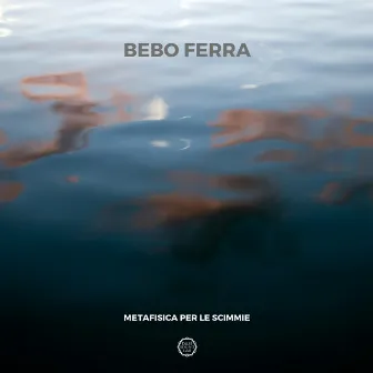 Metafisica per le scimmie by Bebo Ferra