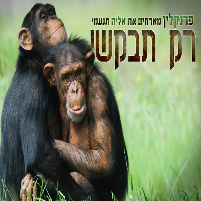 רק תבקשי