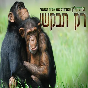 רק תבקשי by פרנקלין