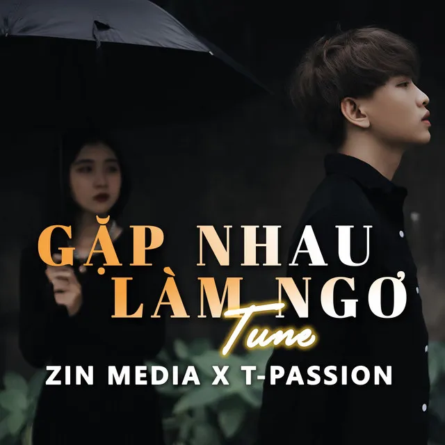 Gặp Nhau Làm Ngơ (ÂN Remix)