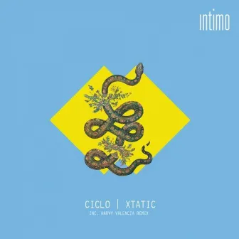 Xtatic by Ciclo