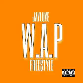 W.A.P Freestyle by Jayluve