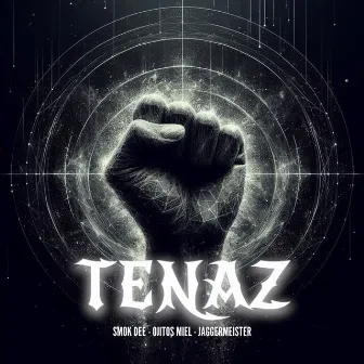 Tenaz by Unknown Artist