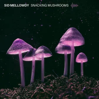 Snacking Mushrooms by Sid Mellowdy