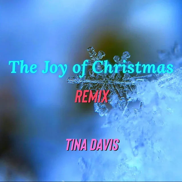 The Joy of Christmas (Leroy Skeete Davis Remix)