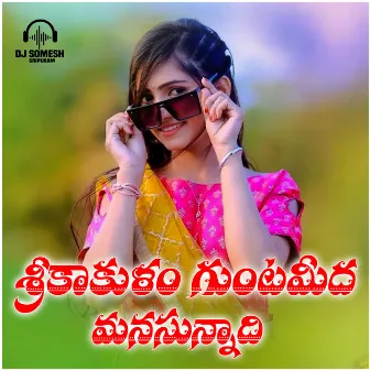 Srikakulam Gunta Medha Manasunnadhi by Dj Somesh Sripuram