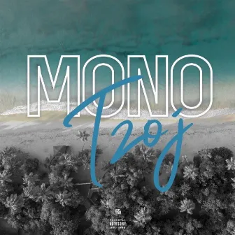 Mono by TZOJ