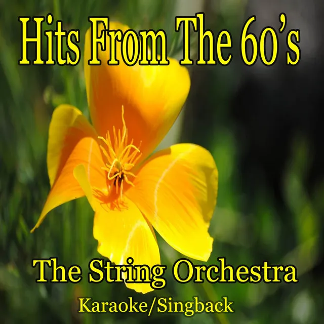 Hits from the 60's/Karaoke/Singback