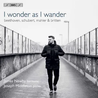 I Wonder as I Wander by James Newby