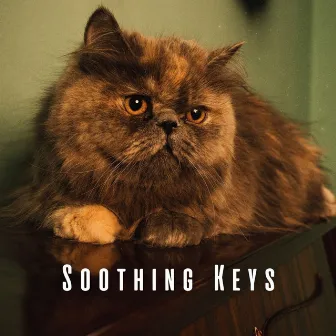 Soothing Keys: Piano Meditations for Relaxation with Cats by Cat Music Relaxation