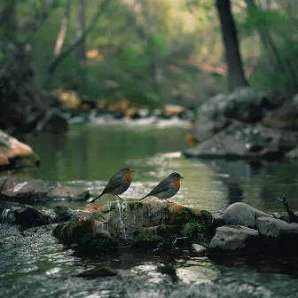 Binaural Nature and Creek Birds Meditation Harmony by Autonomous ASMR