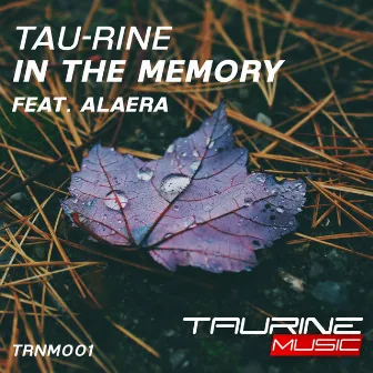 In The Memory by Tau-Rine