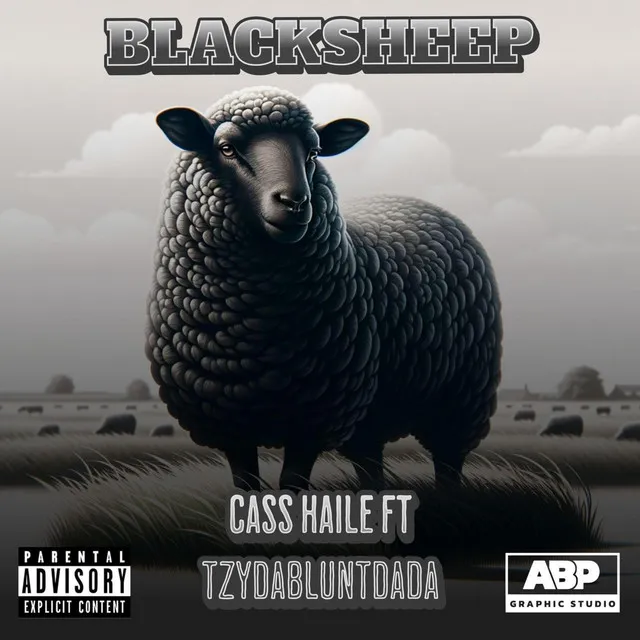 Blacksheep