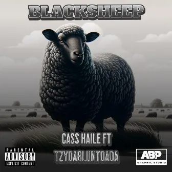 Blacksheep by Cass Haile