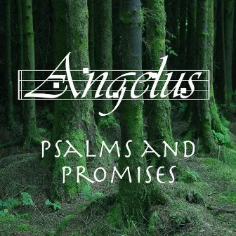 Psalms and Promises by Angelus