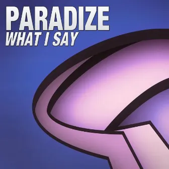 What I Say (Original Mix) by Paradize