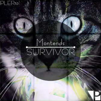 Survivor by Montends