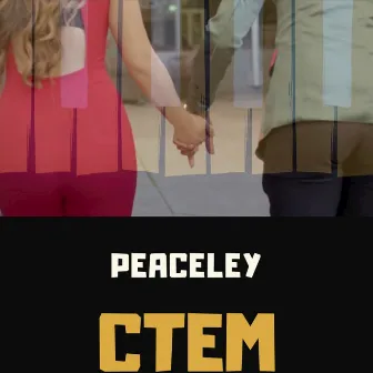 C.T.E.M. by Peaceley