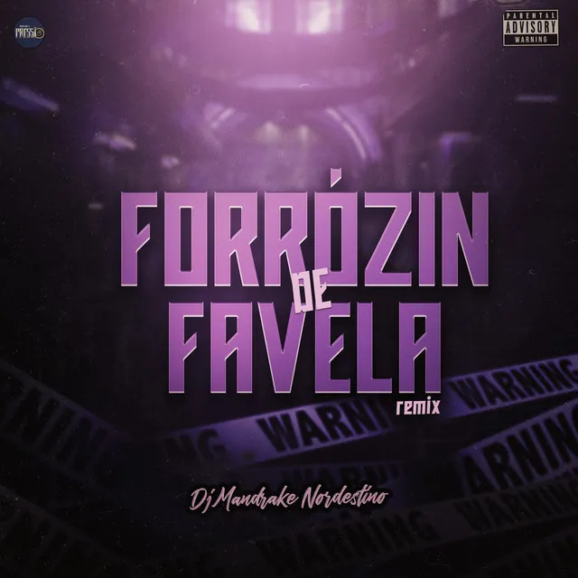 Forrózin de Favela (Remix)