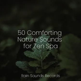 50 Comforting Nature Sounds for Zen Spa by Relaxing Mindfulness Meditation Relaxation Maestro