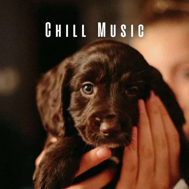 Chill Music: Melodic Comfort for Dogs