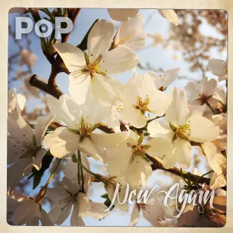 New Again by Pop