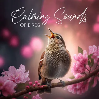 Calming Sounds of Birds Chirping in Spring by Bird Song Group