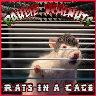 Rats In cages by Paulie Walnuts