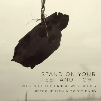 Stand on Your Feet and Fight - Voices of the Danish West Indies by Peter Jensen