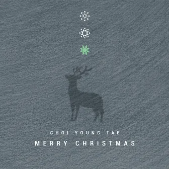 Merry Christmas by Choi Young Tae