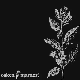 Split Lp With Marnost by Oaken